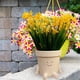 thumbnail image 1 of Florero decorativo con maceta de dibujos animados sonriente, accesorios de jardín, maceta para flores sentada, maceta con cara para decoración del, 1 of 8