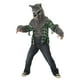 thumbnail image 1 of Disfraz de California Disfraces de hombre lobo para niños, talla L, 1 of 2
