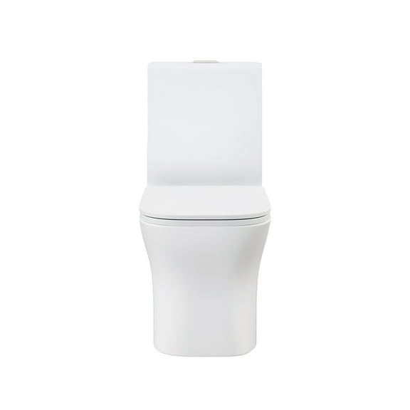 Bastille One Piece Square Toilet Dual Flush 1.1/1.6 gpf in Matte White