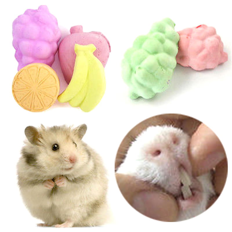 5X Fruit Chew Toy Hamster Rat Chinchilla Rabbit Teeth Grinding Mineral Stone_DM 