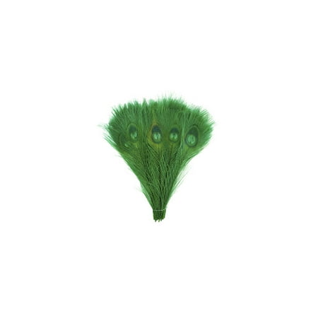 Zucker Feather Products Peacock Tail Eyes Bleached Dyed -