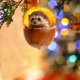 thumbnail image 3 of Animales para decorar tu hogar Adornos colgantes planos en 2D con animales Ideas para decorar tu hogar en Navidad, 3 of 3