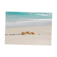 thumbnail image 4 of DOLITY Aquarium Landscape Poster Single Sided Tank Background Sticker XXL, 4 of 9
