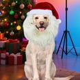 thumbnail image 5 of Gorro de Papá Navideño para , Perro, Divertido y Disfraz para Mascota, Ideal para Días de Invierno, Noches, Familia, Amigos, Jóvenes, Adolescentes, Niñas y Niños A, 5 of 5