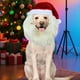 thumbnail image 5 of Gorro de Papá Navideño para , Perro, Divertido y Disfraz de Mascota para Días de Invierno, Noche, Familia, Amigos, Jóvenes, Adolescentes, Niñas y Niños C, 5 of 9