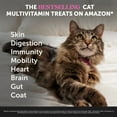 thumbnail image 2 of Pet Honesty Multivitamin Overall Wellbeing Omega-3 Supplement Chewables for Cat, Chicken Flavor, 3.7 oz Pouch, 2 of 11
