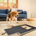 thumbnail image 3 of SUGARMOM 2pcs Dog Nail Scratch Board Dog Scratch Pad for Nails Pull-Out Dog Nail File Board Dog Nail File Board Scratch Pad Stress Free Dog Scratch Pad for Nails Nail Care Grooming Board, 3 of 7