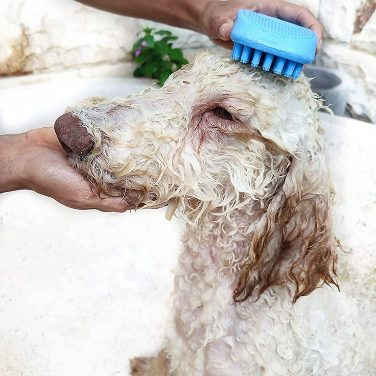 Dog Grooming Brush - Dog Bath Brush - Cat Grooming Brush - Dog Washing  Brush - Rubber Dog Brush - Dog Hair Brush - Dog Shedding Brush - Pet  Shampoo
