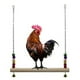 thumbnail image 5 of 2x Percha Hecha para Masticar Pájaros con Columpio de Pollo, 5 of 9