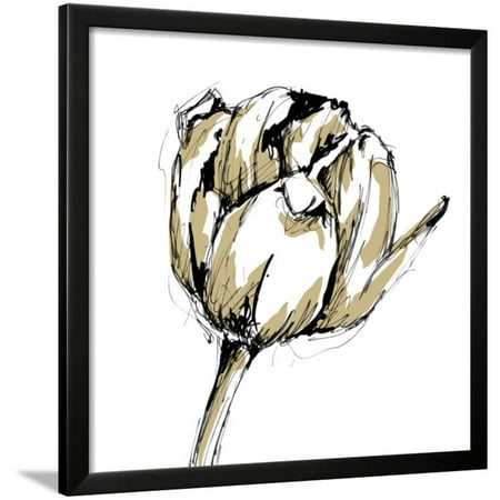 small tulip sketch ii framed print wall art by ethan harper