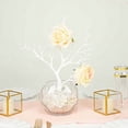 thumbnail image 7 of BalsaCircle White 10 Artificial 14" Plastic Manzanita Tree Branches Vase Fillers Centerpieces Party Events, 7 of 7