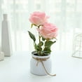 thumbnail image 3 of 1 Set Fake Flower Simulation Wear-resistant Plastic Everlasting Artificial Flower Pot for Home, 3 of 9