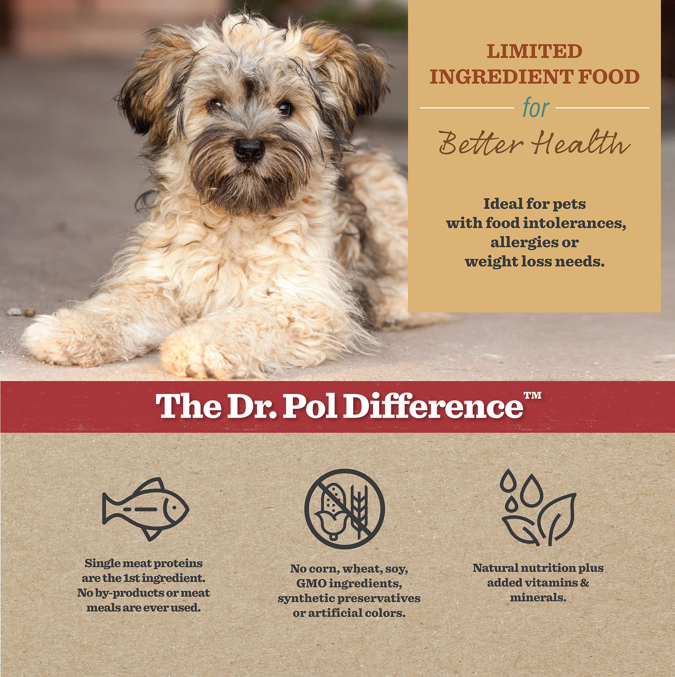 Dr. Pol Healthy Balance Limited Ingredient Grain-Free Salmon Dog Food photo 6