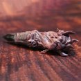 thumbnail image 3 of Jujutsu Kaisen Ryomen Sukuna's Finger Model Special Grade Cursed Object Japanese, 3 of 7