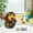 A, variant on Apmemiss Christmas Gifts Clearance Magnetic Woodpecker Feeding Toy for Toddlers Early Learning Fine Motor Skills Game Strong Magnet Birds and Worm Catching