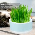 thumbnail image 3 of Cat Grass Box Soilless Planting Box for Storage Use Household Use, 3 of 5