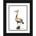 thumbnail image 1 of Shefranov, Olga 11x14 Black Ornate Wood Framed with Double Matting Museum Art Print Titled - Duck, 1 of 4