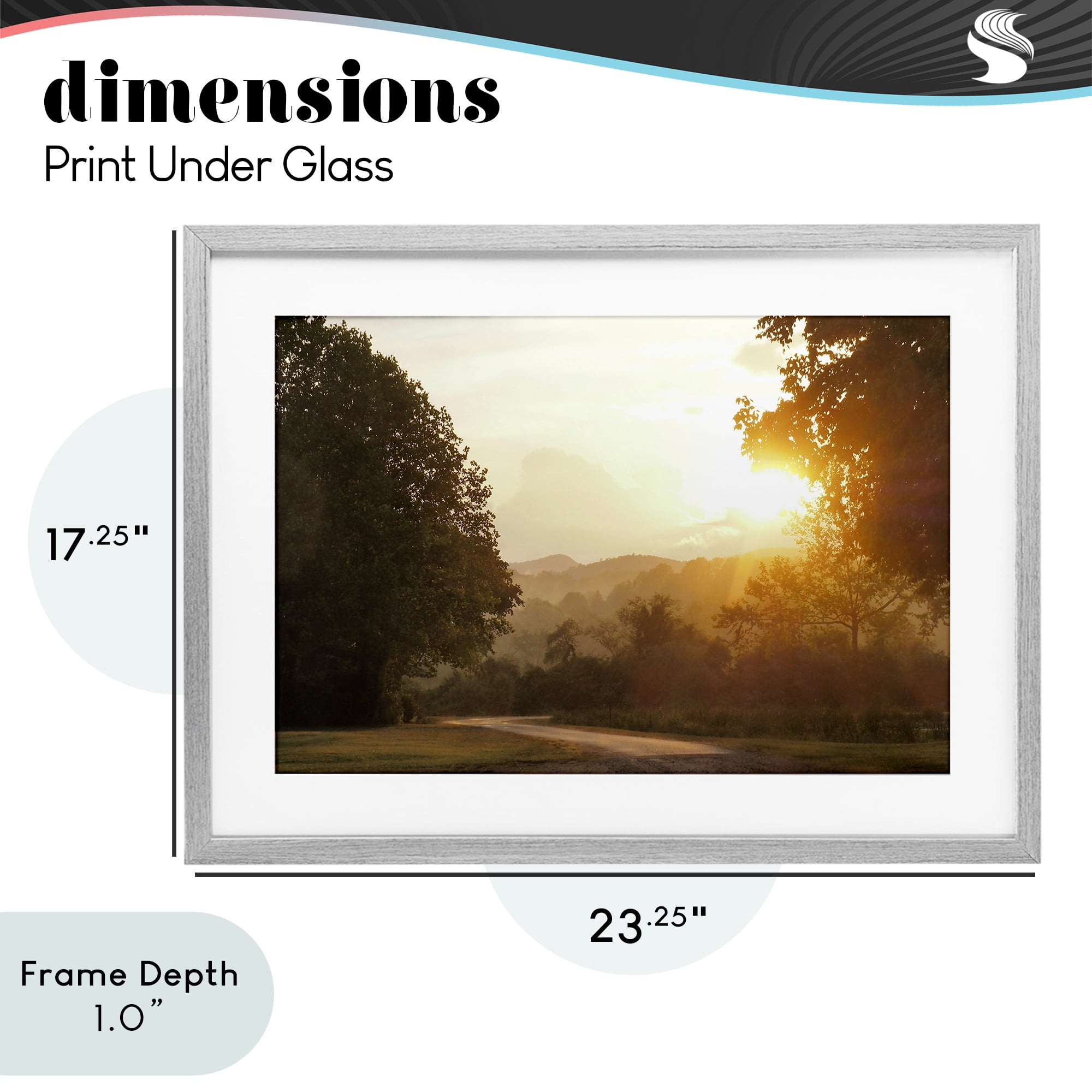 Stupell Industries Golden Morning Between Trees Gray Framed Print Under Glass, design by Gail Peck