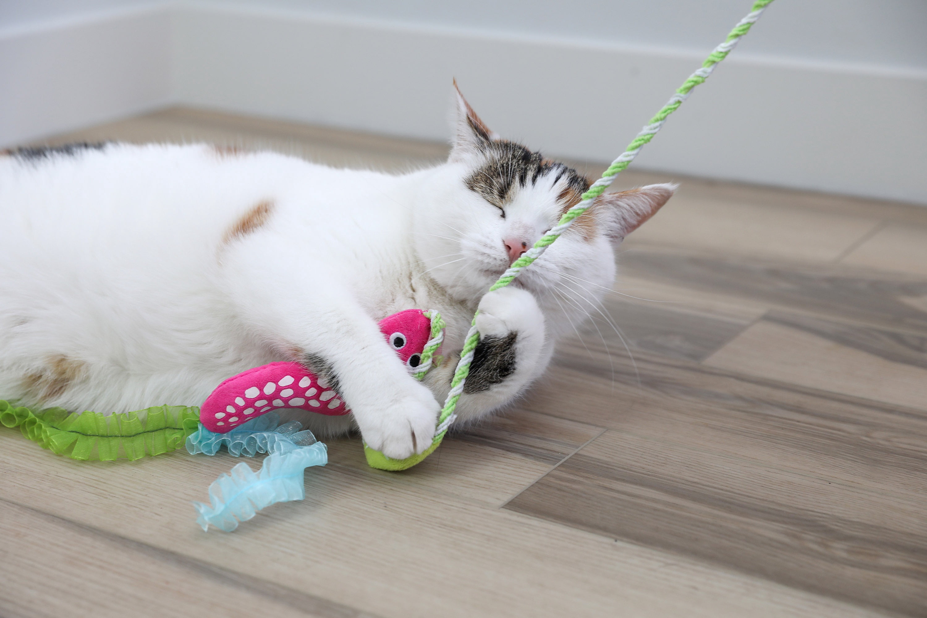 Quirky Kitty Glowing Forest Glow Snake Wand Night Play Catnip Cat Toy, Pack of 1, Glow Snake Wand