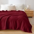 thumbnail image 1 of TIMIFIS Throw Blanket Blanket Flannel Blanket Person Blanket Embroidered Knee Blanket Office Corals Fleece Blanket Small Blanket Fleece Blanket, 39X59 In, 1 of 5