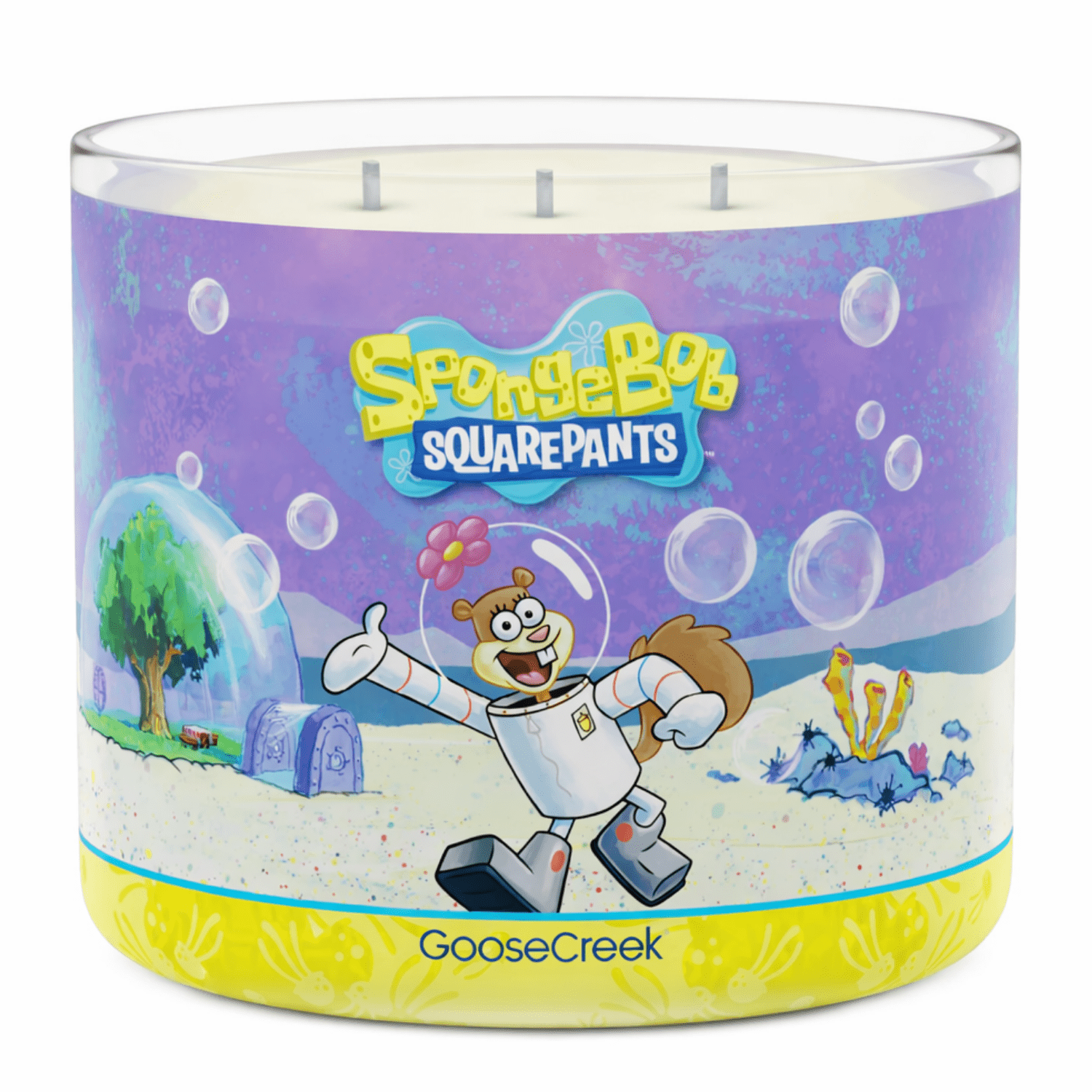 Sandy Cheeks 3-Wick Scented Candle, Glass Jar
