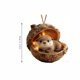 thumbnail image 1 of Árboles Decorativos para la Decoración Del Hogar Acrílico 2D Ornamentos Del Árbol de Navidad Festivo para la Decoración de Vacaciones Ornamentos Pequeños para Árboles de Navidad, 1 of 5