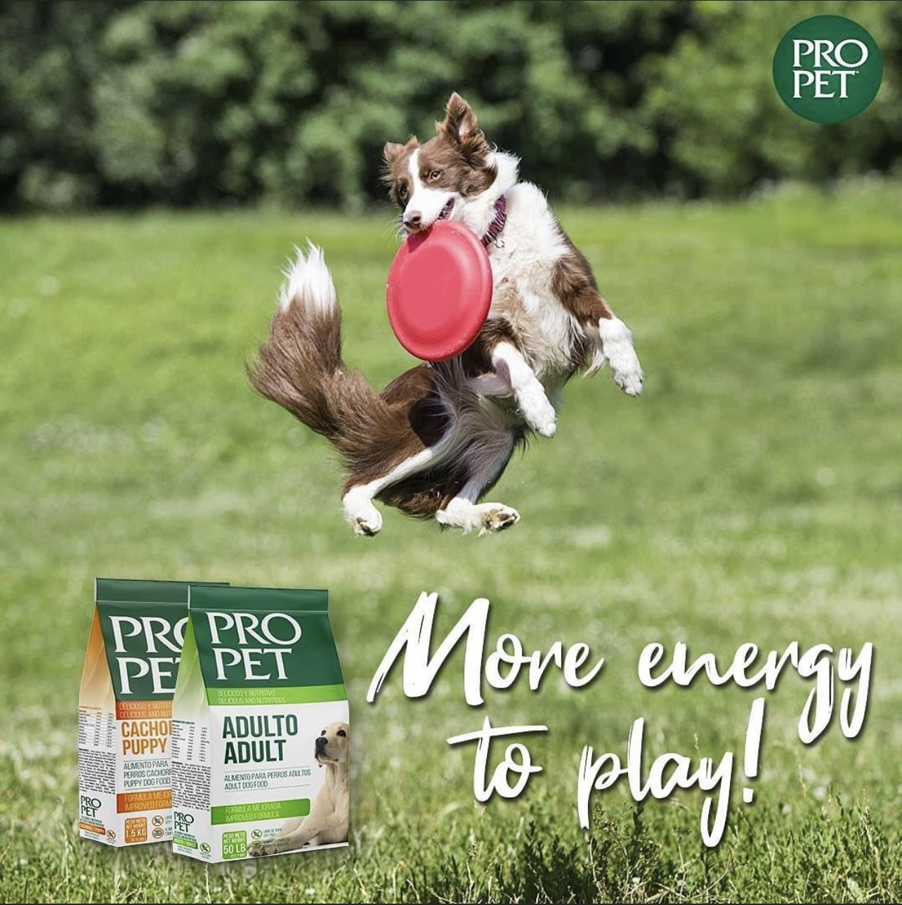 Pro Pet Dry Dog Food for All Types of Dogs Plastic Bag 11lbs Individual Pack