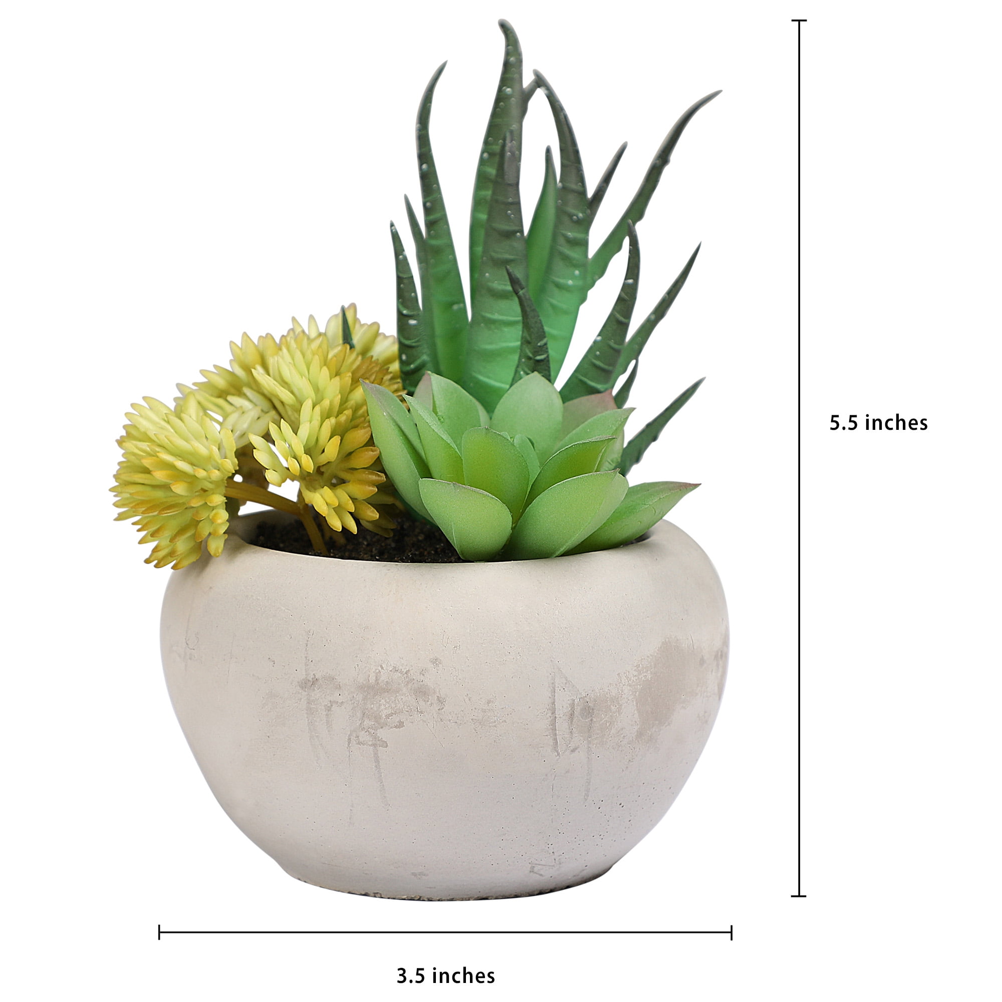 Mainstays 5.5" Artificial Succulent Plant in Cement Pot, Green and Yellow Color