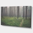 thumbnail image 2 of Forêt Dense Buggy avec Herbe - Art Moderne sur Toile, 2 of 4
