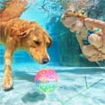 thumbnail image 3 of ZLight 2piece Portable Outdoor Playground Ball For Active Playtime Safe Diving Ball, 3 of 6