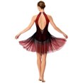 thumbnail image 2 of dPois Robe de Danse Lyrique Sans Manches à Strass Brillants pour Femmes, Dégradé de Couleur, Robe de Danse Moderne en Maille Bourgogne TTG, 2 of 7