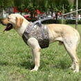 thumbnail image 4 of Dog Harness  Soft Leash Padded  Pull Dog Harness with All Kinds of Size, 4 of 11