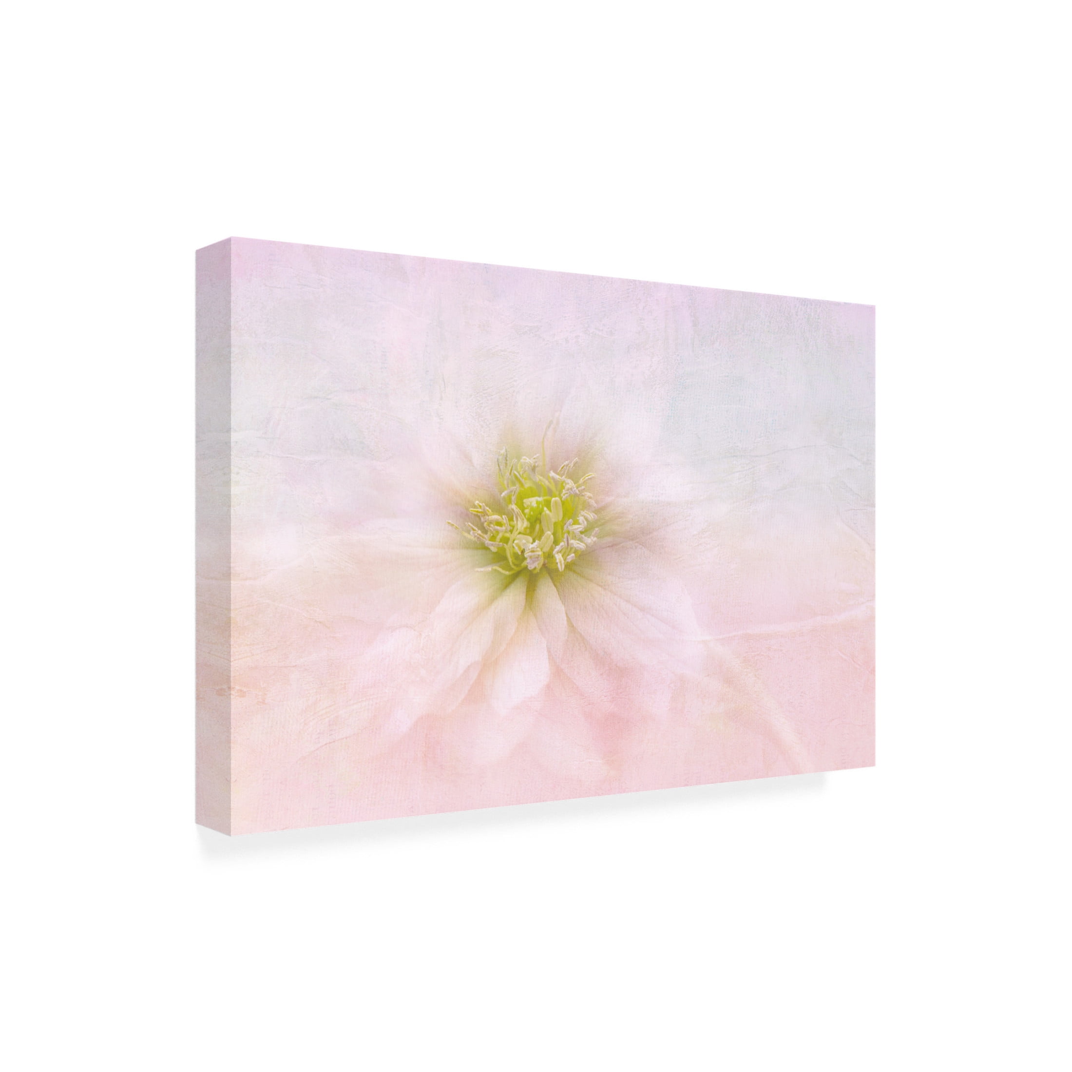 Trademark Fine Art Jacky Parker Over The Rainbow Canvas Wall Art