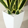 thumbnail image 5 of Yellow 43'' Tall Large Artificial Snake Plant with 9'' White Taper Planter,Plastic Floor Plants Tall Faux Sansevieria Plant with 20 Leaves for Home Bedroom Living Room Bathroom Indoor Outdoor Decor, 5 of 7