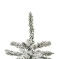 thumbnail image 3 of Vickerman 24" Flocked Anoka Pine Artificial Christmas Tree, Unlit, 3 of 5
