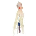 thumbnail image 3 of Aparejos de pesca Bling Bling Señuelos pulpo 5# luminoso, 3 of 12