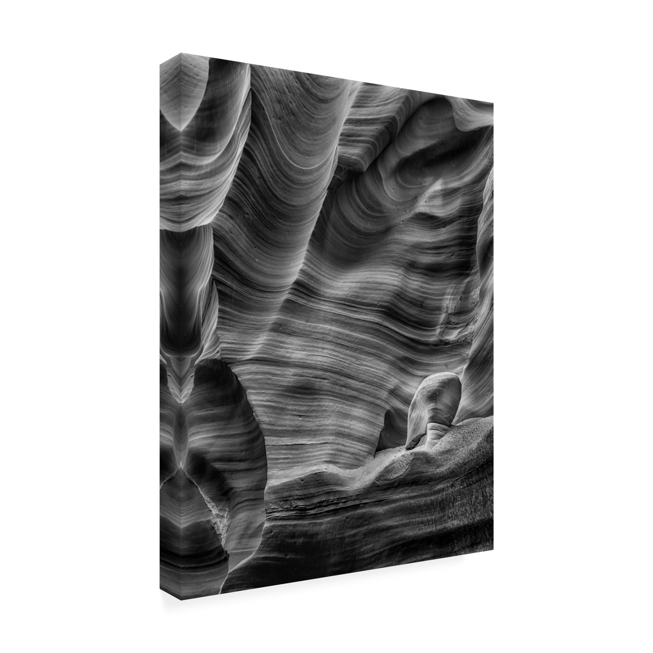 Trademark Fine Art Richard Li  Meditation Canvas Wall Art