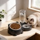 thumbnail image 5 of Cuenco elevado de dos en uno para gatos y perros, con dispensador de agua y comedero inclinado, 5 of 6