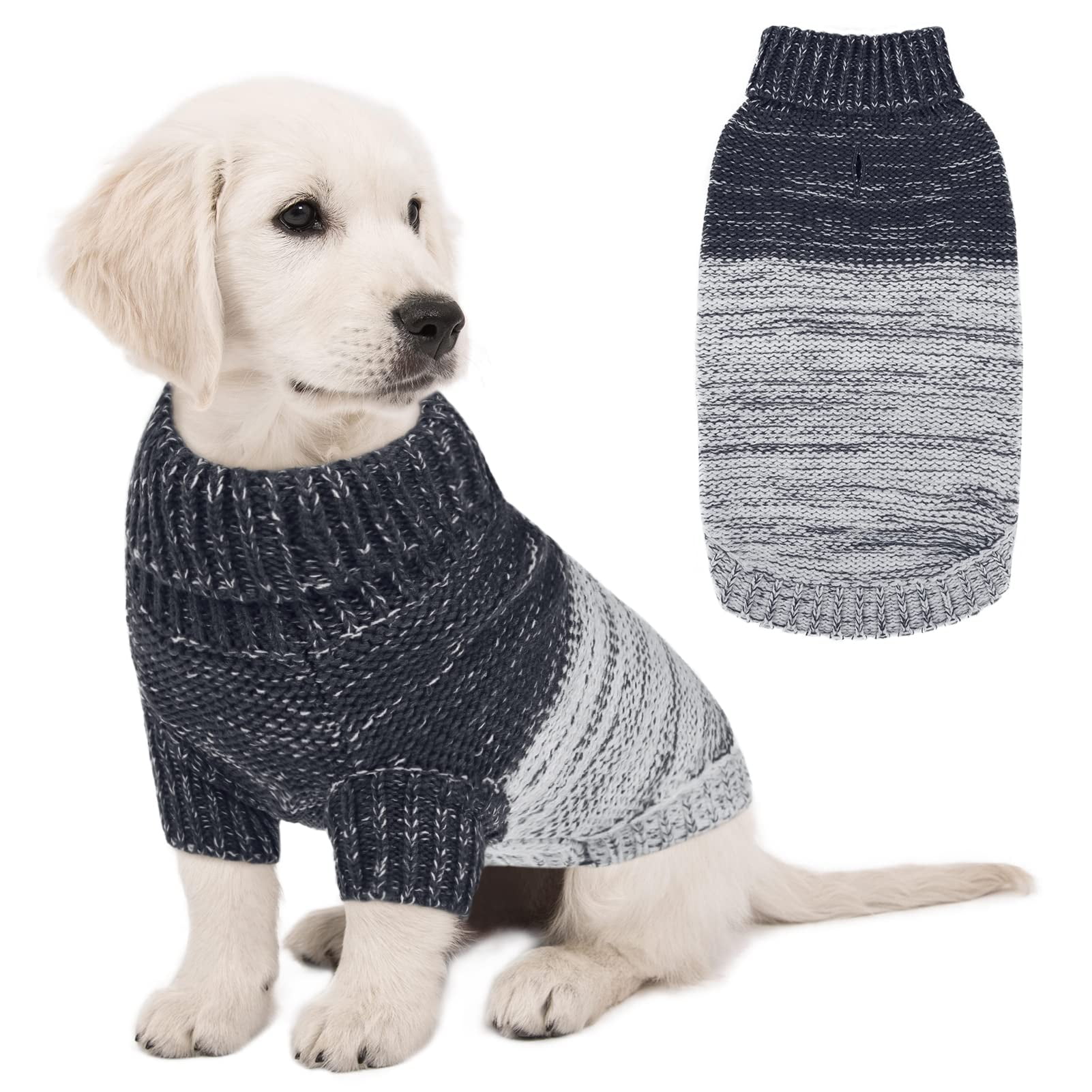 Do Dogs Need Sweaters In Very Cold Time