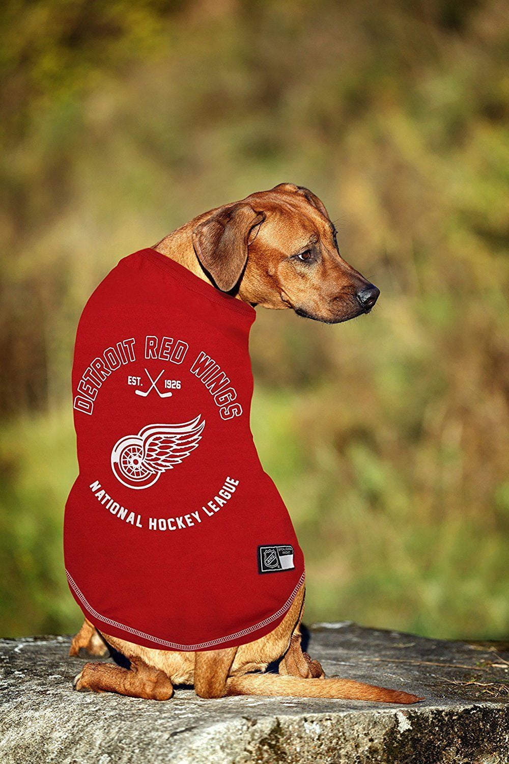Detroit Red Wings Dog Stretch Jersey Big Dog Size