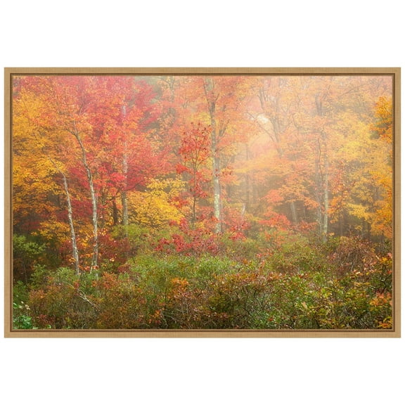 Amanti Art Soft Fall Forest Pallet Framed Canvas Wall Art Print
