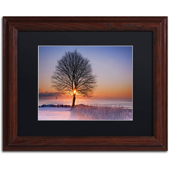 Trademark Fine Art "Tree Burst" Canvas Art by Michael Blanchette Photography Black Matte, Wood Frame