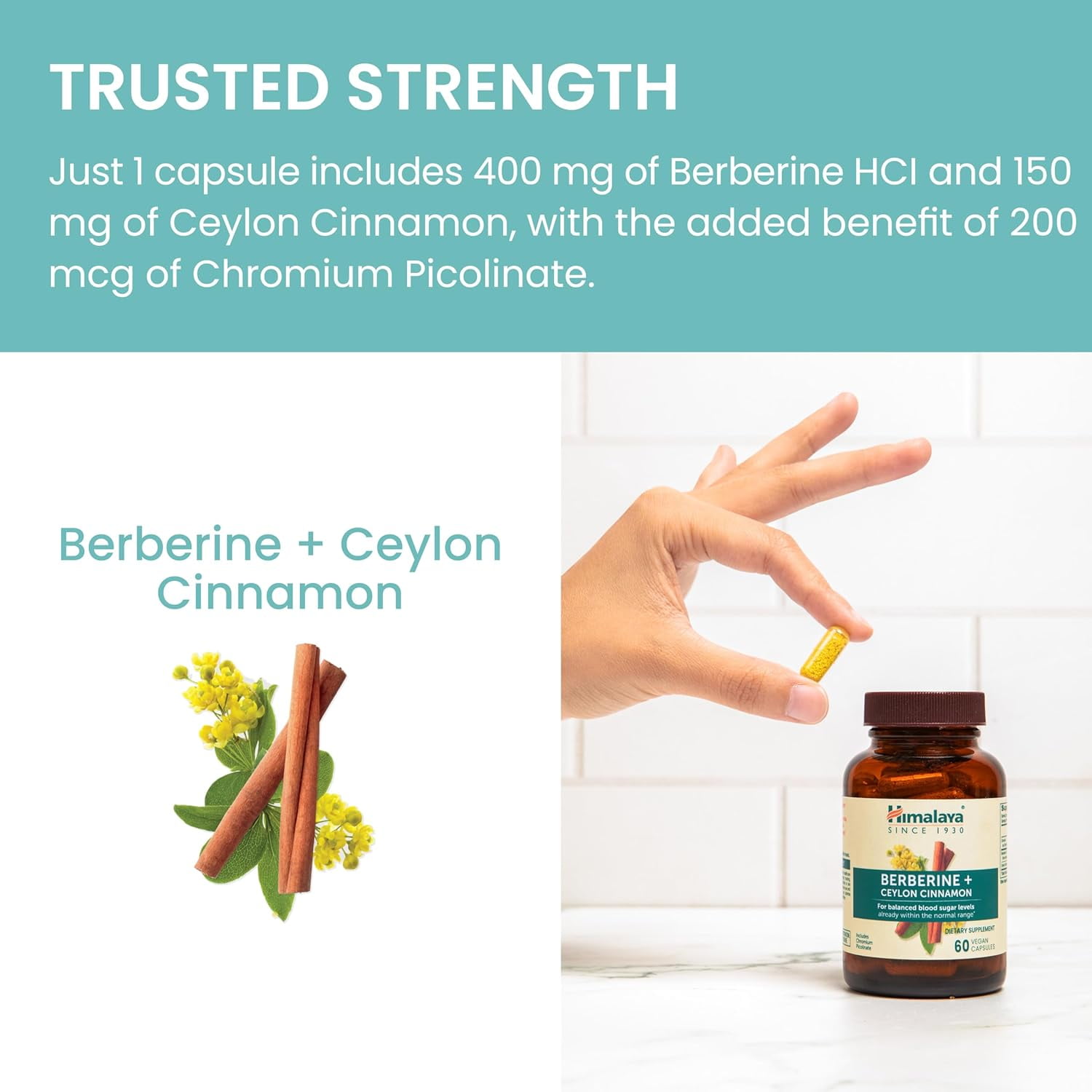 Himalaya Berberine with Ceylon Cinnamon - Herbal Supplement for Supporting Normal Metabolism, Immune, and Digestive Health - Vegan, Gluten Free, 60 Vegetarian Capsules