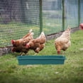 Masteelf Livestock Food Feeder Farm Chicken Feeder Poultry Feeder ...