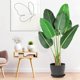 thumbnail image 3 of 60/48-pulgada artificial faux banana leaf plant con pot - 5-foot artificial upright plant featuring 8 trunks para home o oficina greenery decor - 48 pulgadas, 3 of 6