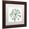 thumbnail image 2 of Trademark Fine Art "Nature's Amazing Wonder" Canvas Art by Kurt Shaffer, White Matte, Wood Frame, 2 of 4