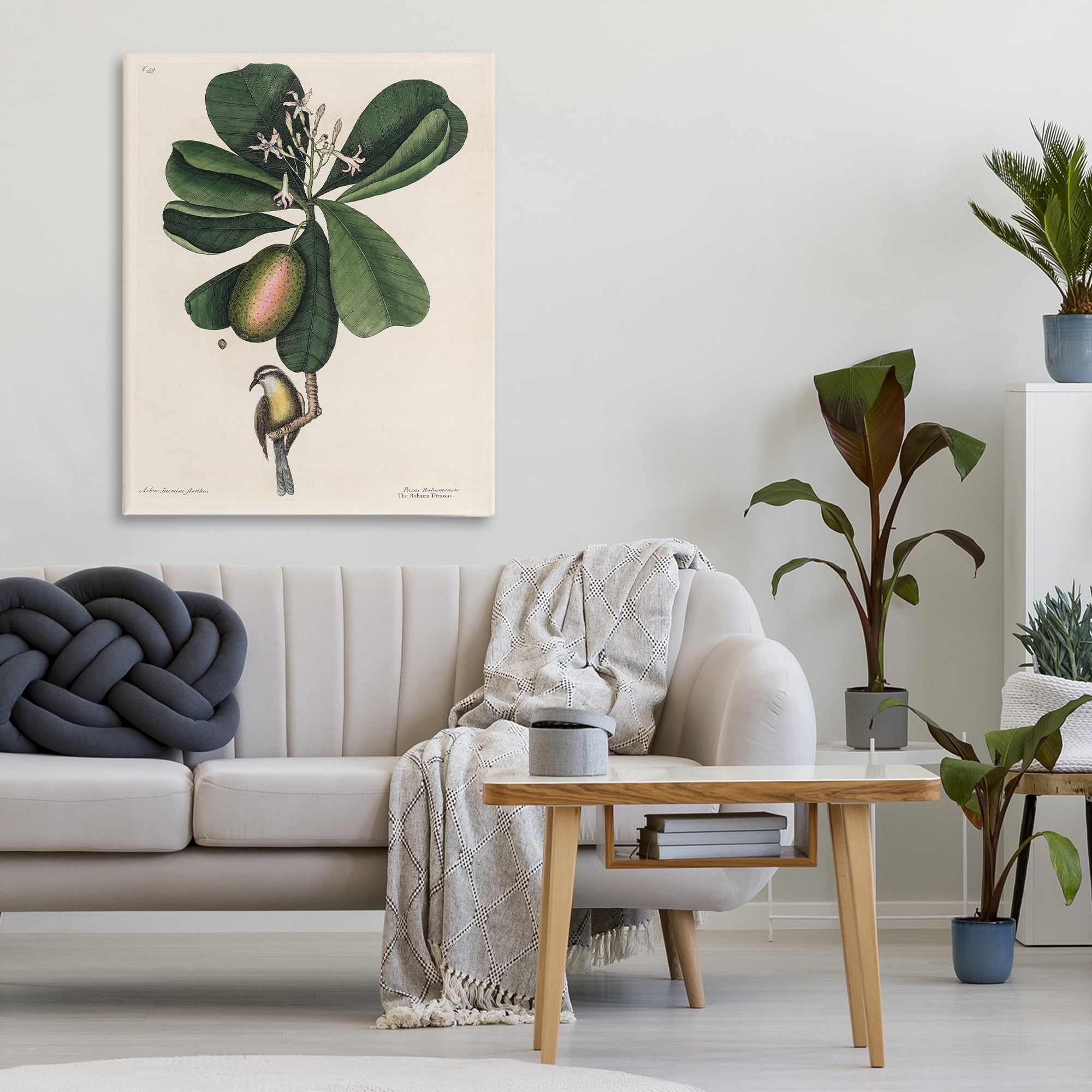 Stupell Industries Catesby Flora & Fauna Canvas Wall Art, design by Print Collection