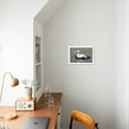 thumbnail image 4 of Common Eider, Framed Art Print Wall Art by abzerit Sold by Art.Com, 4 of 5
