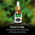 thumbnail image 2 of Babchi Oil (Psoralea Corylifolia) 100% Pure & Natural Undiluted Uncut Cold Pressed Carrier Oil | Use for Aromatherapy | Therapeutic Grade (30 ML with Dropper), 2 of 6