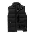 thumbnail image 1 of Frontwalk Plus Size Down Vest for Mens Boys Casual Zipper Active Puffer Vest Winter Sleeveless Padded Coat Outwear Quilted Jacket, 1 of 5